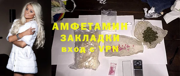 твердый Дмитров
