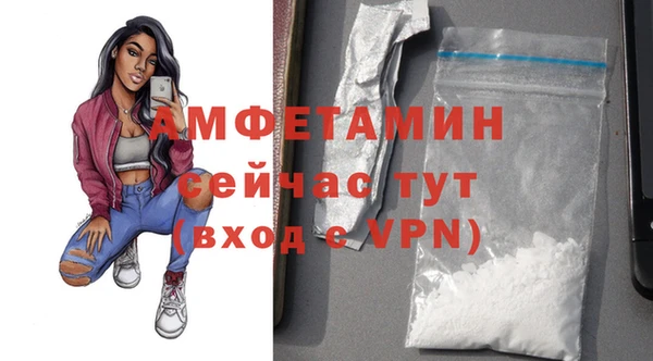 твердый Дмитров