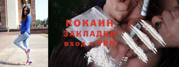 твердый Дмитров