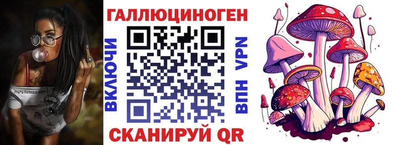 Галлюциногенные грибы Magic Shrooms  где купить   Ипатово 